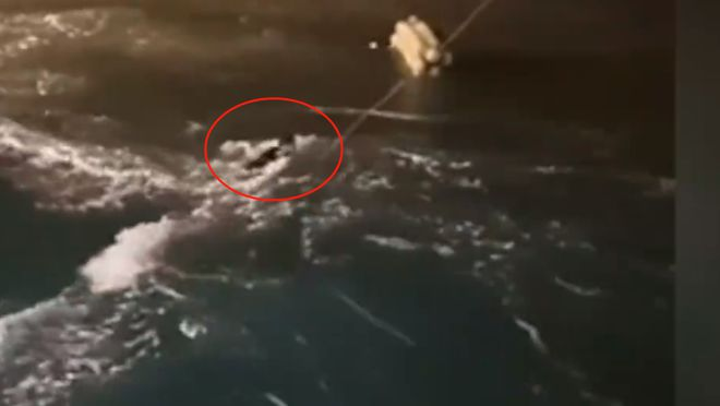 海运物流新闻 -- 尊龙时凯物流