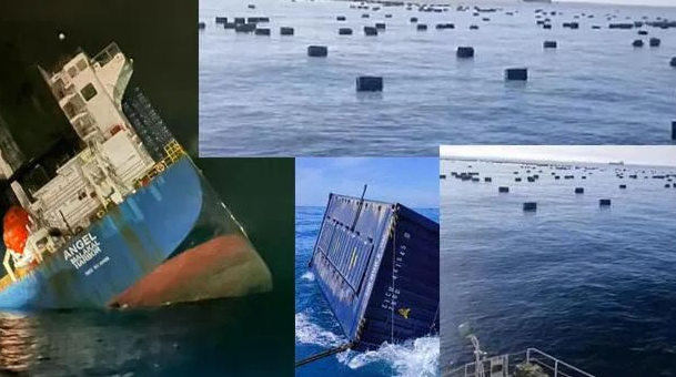 厦门港“五一”时代完成集装箱吞吐量约12万标箱  --  尊龙时凯物流