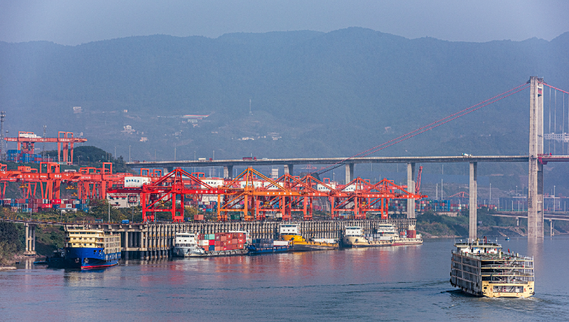 2022年广西各大口岸吞吐量出炉_海运集装箱吞吐量 -- 尊龙时凯物流